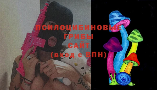 mdma Богородицк