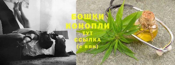 крисы Богданович
